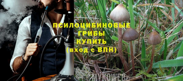 хмурый Краснотурьинск