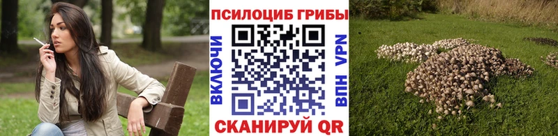 Псилоцибиновые грибы Psilocybine cubensis  Купить закладки  Спас-Деменск 